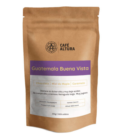 guatemala buena vista