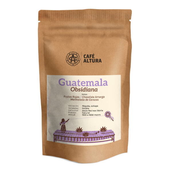 gUATEMALA-OBSIDIANA-2026-1-